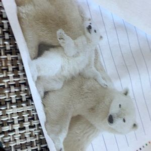 Meet your Posher, Gary